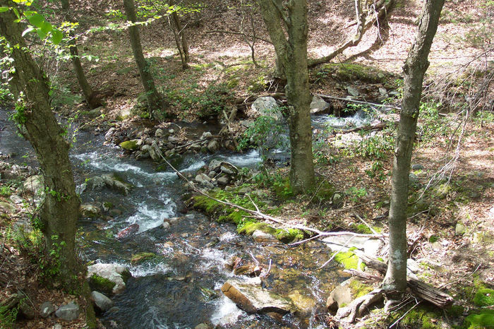 Hiking, Delaware Water Gap Recreation Area, 05.08, A, hike, at, the, Rivers, Streams