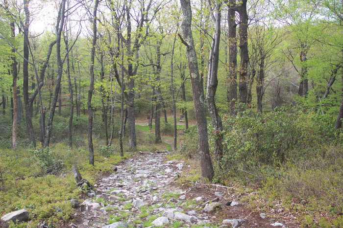 Hiking, Delaware Water Gap Recreation Area, 05.08, A, hike, at, the