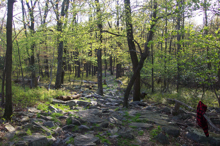 Hiking, Delaware Water Gap Recreation Area, 05.08, A, hike, at, the