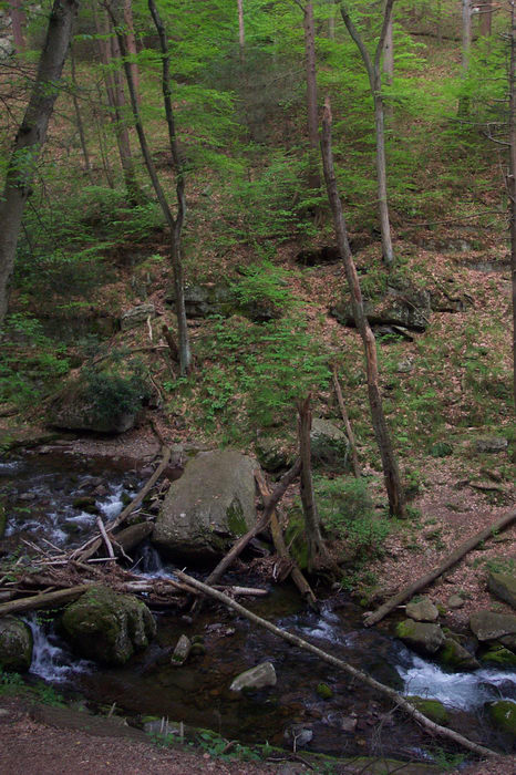 Hiking, Delaware Water Gap Recreation Area, 05.08, A, hike, at, the, Woods, Forest, h_q