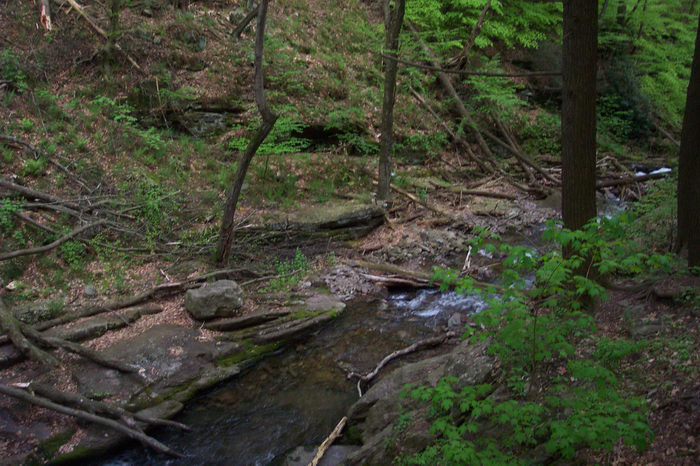 Hiking, Delaware Water Gap Recreation Area, 05.08, A, hike, at, the, Rivers, Streams, Woods, Forest, h_q