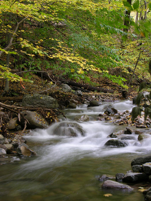 Delaware Water Gap Recreation Area, Waterfalls, Moving, 051023-n8700, Fall, Colors