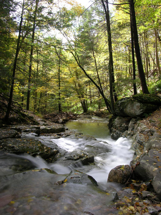 Delaware Water Gap Recreation Area, Waterfalls, Moving, 051023-n8700, Fall, Colors
