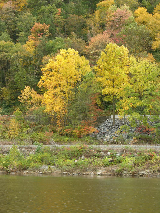 Delaware Water Gap Recreation Area, 051023-n8700, Rivers, Streams, Fall, Colors