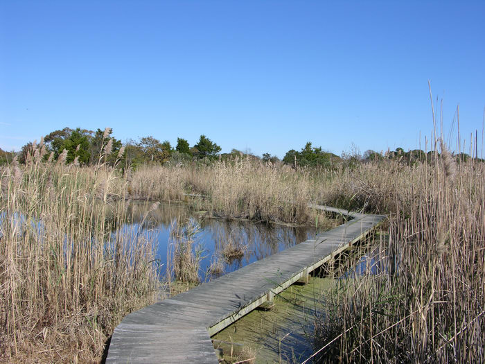 051031-n8700, Trails, Paths, Boardwalks, Marsh, Swamp, Cape, May, Point, State, Park