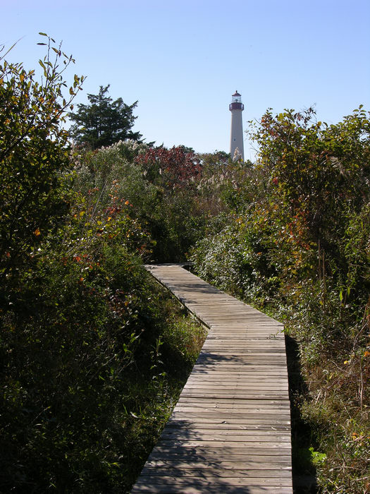 051031-n8700, Trails, Paths, Boardwalks, Marsh, Swamp, Cape, May, Point, State, Park, Lighthouses
