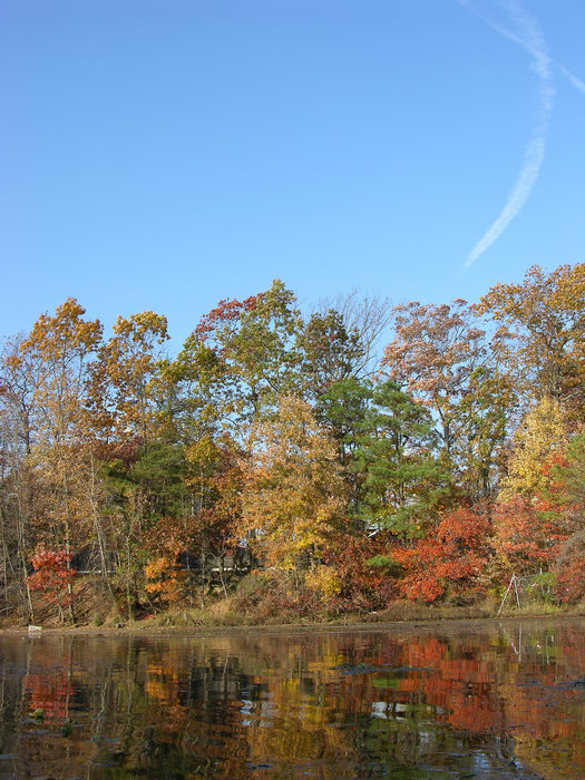 051106-n8700, Prospertown Wildlife Managamenet Area (NJ), Fall, Colors