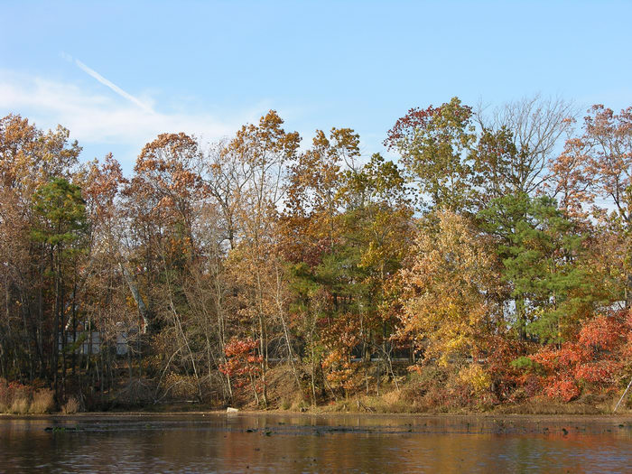 051106-n8700, Water, Ponds, Lakes, General, Prospertown Wildlife Managamenet Area (NJ), Fall, Colors