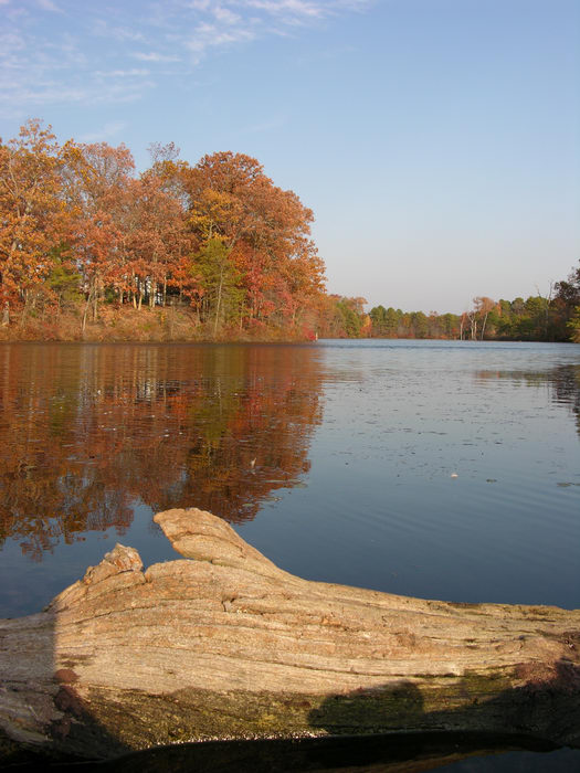 051106-n8700, Water, Ponds, Lakes, General, Prospertown Wildlife Managamenet Area (NJ), Fall, Colors