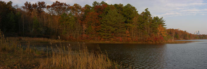 051106-n8700, Prospertown Wildlife Managamenet Area (NJ), Panoramic, Fall, Colors