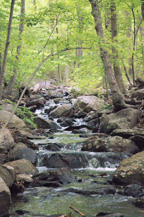 Waterfalls, Moving, Water, Rivers, Streams, Kymers, Camping, Resort, (, NJ), with, Christine,