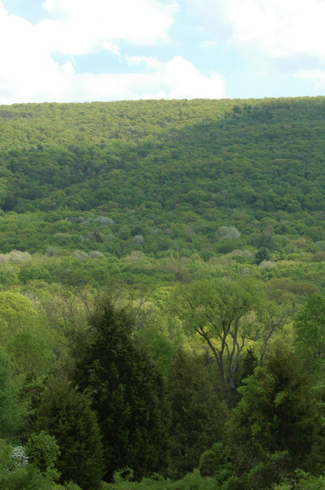 Delaware Water Gap Recreation Area, Camping, with, Christine,