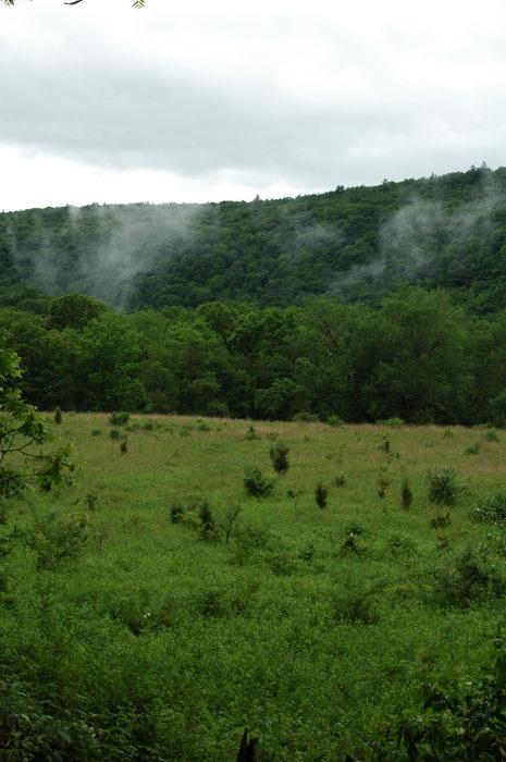 Delaware Water Gap Recreation Area, Clouds, Sky, Storms, Hiking, the, rainy, gap,