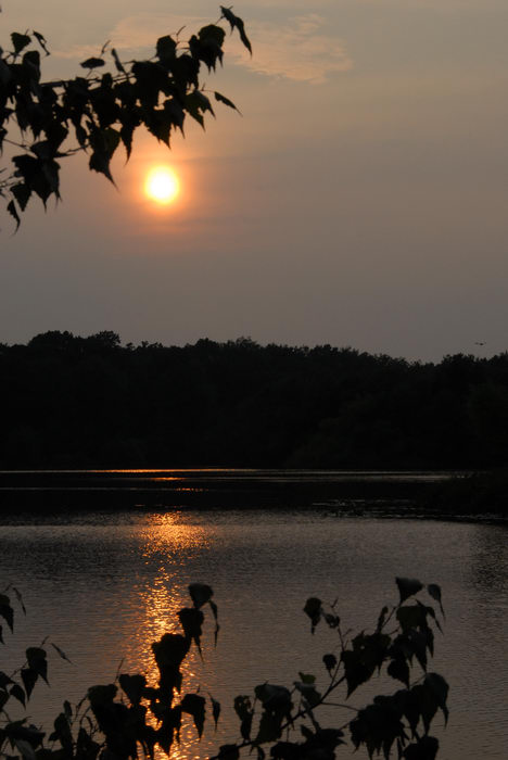 Sunsets, Turkey, Swamp, Park, (LOC00097, NJ, CP), Water, Ponds, Lakes, General, A, walk, through,