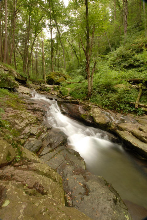 Delaware Water Gap Recreation Area, Pictures, at, the,