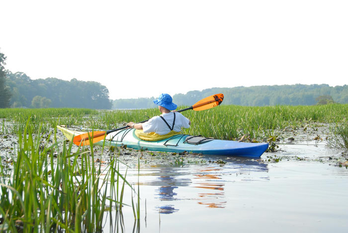 Assunpink Wildlife Management Area, Water, Ponds, Lakes, General, Kayaking, Paddling, Boating, Marsh, Swamp, this, weekend,