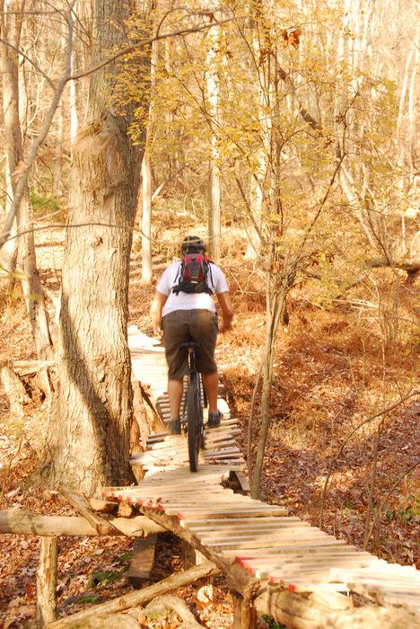 Trails, Paths, Boardwalks, Biking, Mountain, Allaire State Park (NJ), Hiking