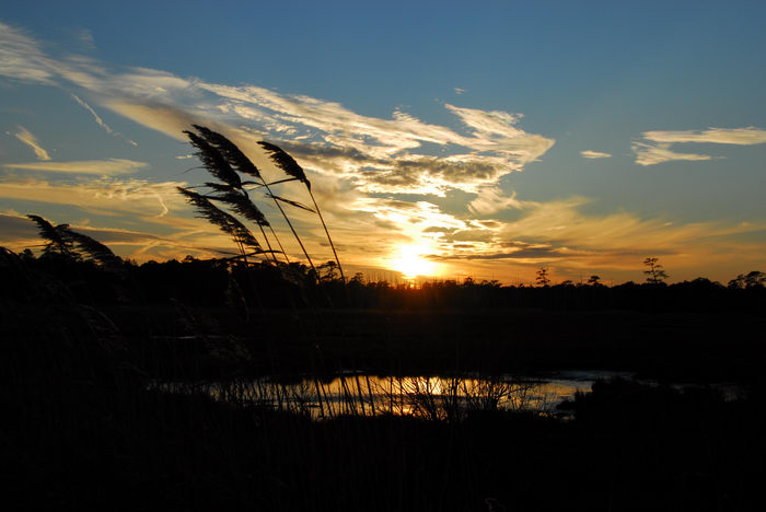 Sunsets, Cattus, Island, (LOC00039, NJ, CP), Marsh, Swamp, Walkin