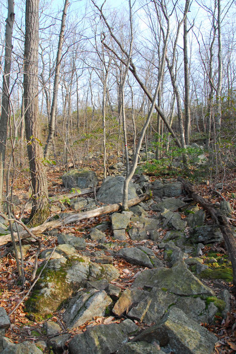 Tripod, Rock, Pyramid, Mountain, Natural, Historic, Area, (LOC00047, NJ, SP), Trails, Paths, Boardwalks, Trail, Signs, and, Markers, Rocks, formations, Woods, Forest, h_q, Hiking