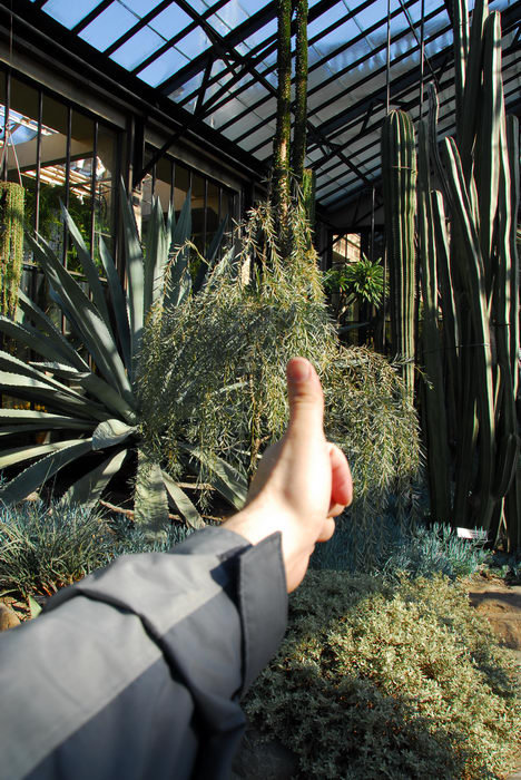 Buildings, Structures, Thumbs, across, America, Cacti, Gardens, Longwood, LOC00086, Visiting, with, Kim, Mike, and, Christine, 03, AAAFor, Carabs