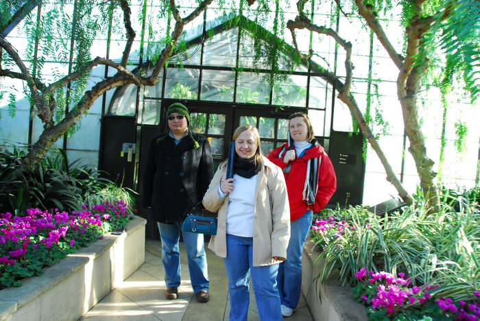 Trees, Leaves, Trails, Paths, Boardwalks, General, Gardens, Longwood, LOC00086, Kim, and, Mike, Visiting, with, Christine, 14, AAAFor, Carabs