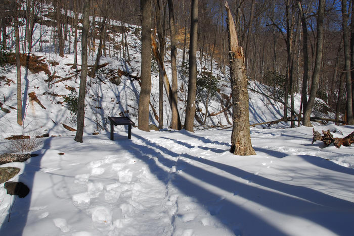 Delaware Water Gap Recreation Area, Snow, Ice, A, snowy, walk, through, the