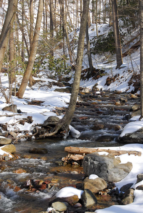 Delaware Water Gap Recreation Area, Waterfalls, Moving, Rivers, Streams, Snow, Ice, A, snowy, walk, through, the
