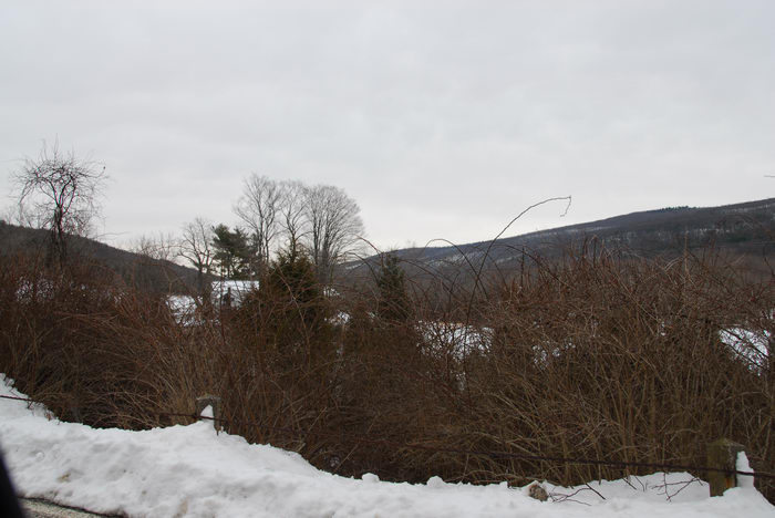 Delaware Water Gap Recreation Area, Snow, Ice, A, snowy, walk, through, the