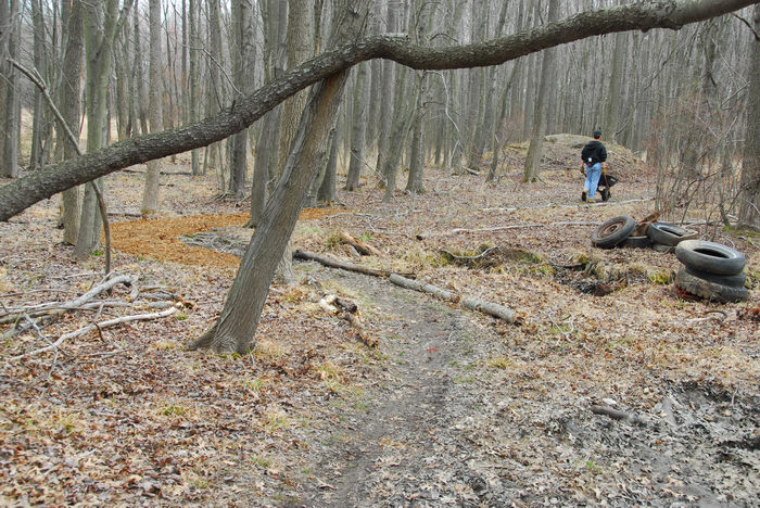 Mercer County Park (NJ), Trails, Paths, Boardwalks, Friends, Outdoors, General, Trail, Day, With, S.M.A.R.T., Maintenance