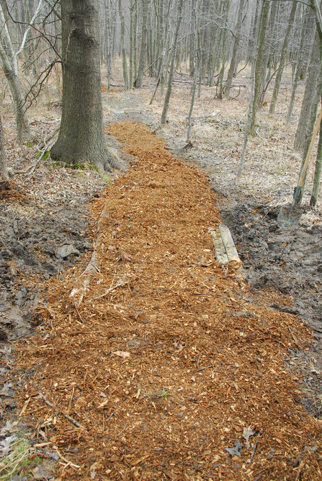 Mercer County Park (NJ), Trails, Paths, Boardwalks, General, Trail, Day, With, S.M.A.R.T., Maintenance