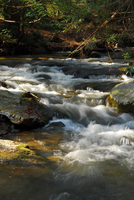 Water, Rivers, Streams, Camping, in, Jim, Thorpe, PA, Resort, (LOC00129, PA)