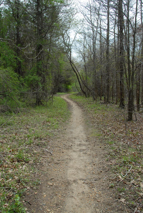 Mercer County Park (NJ), Trails, Paths, Boardwalks, SMARTs, April, Trail, Day