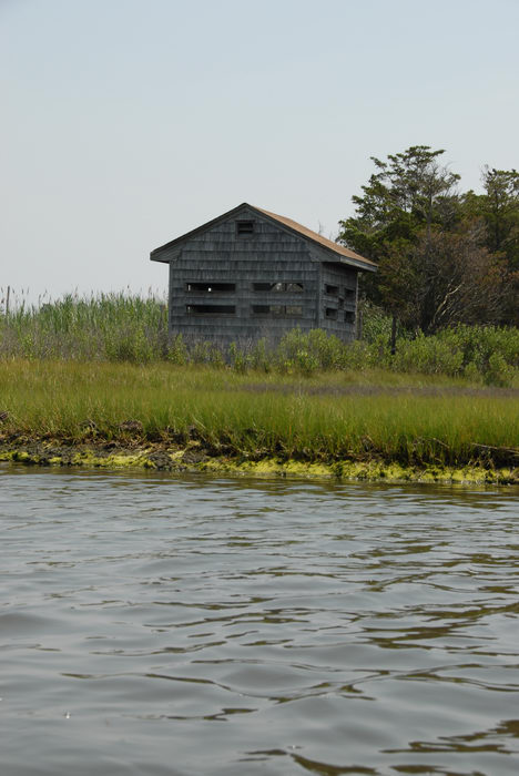 Sedge Islands (NJ), Paddling, with, Rob, in, the
