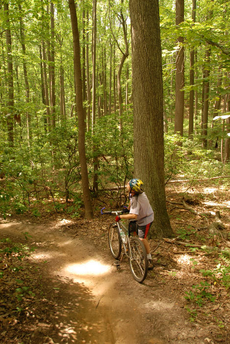 Trails Paths Boardwalks , Woods Forest h_q, Rob Scheedel, Friends Outdoors , Biking - Mountain Biking , Hartshorne County Park, Middletown, NJ, 070721 Quick bike with Rob at Ho