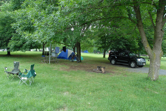Spruce Run Recreation Area, grass, trees