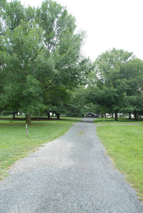 Spruce Run Recreation Area, grass, road, trees