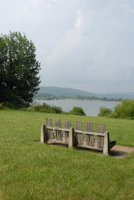 Spruce Run Recreation Area, bench, grass, trees, water
