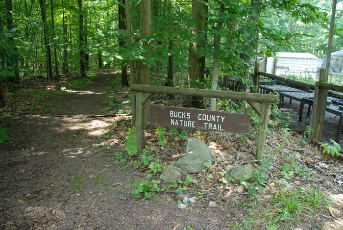 Bowman's Hill Wildflower Preserve, bucks county nature trails, sign, trails, trees, woods