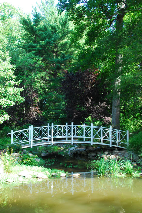 beautiful landscaping, bridge, tree, water, woods