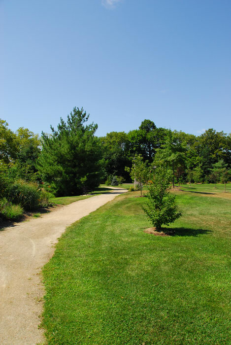 beautiful landscaping, grass, path, tree