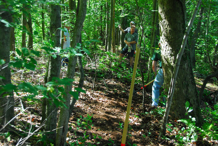 S.M.A.R.T., path, trail, trail maintenance, trees, woods