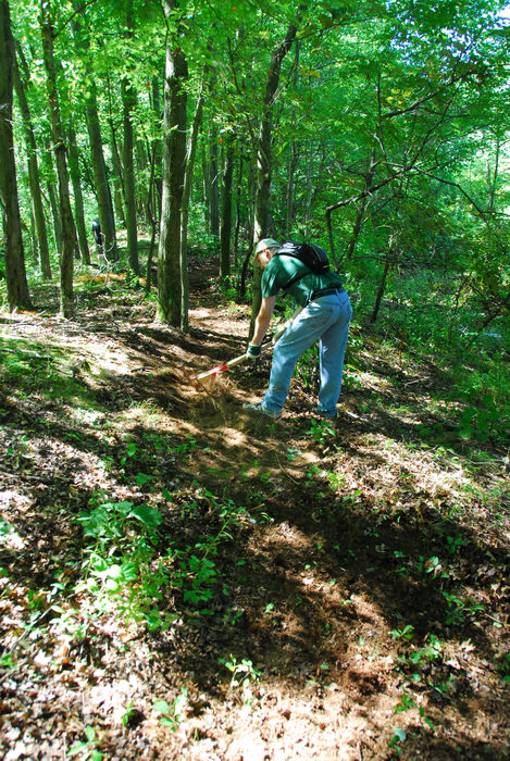 S.M.A.R.T., path, trail, trail maintenance, trees, woods