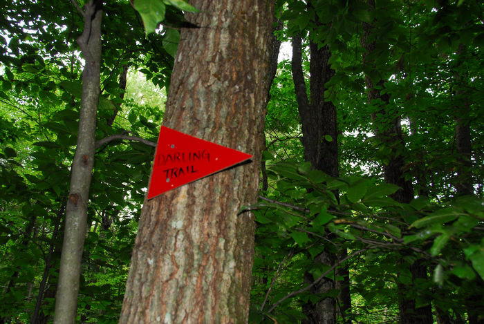sign, trees, woodsm sign