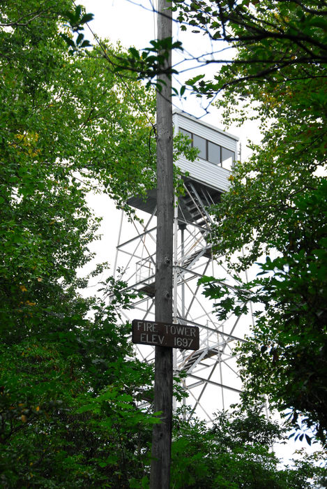 fire tower, trees, woods