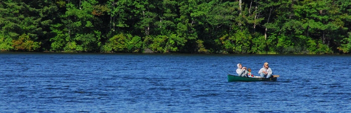boat, fishing, lake, trees, water