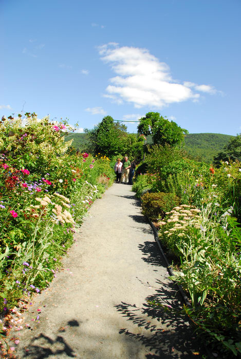 blue sky, flowers, garden, trail, walkway