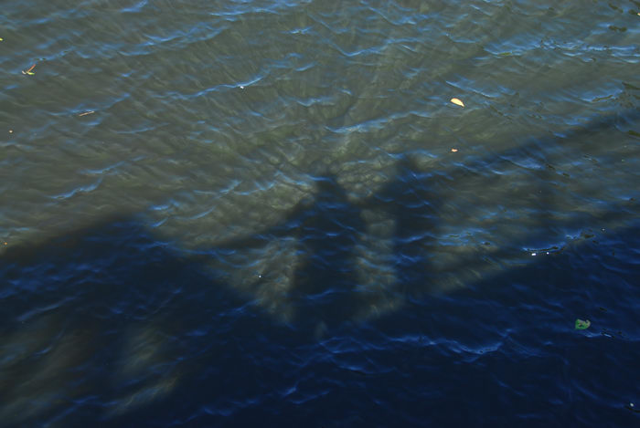 shadow, water