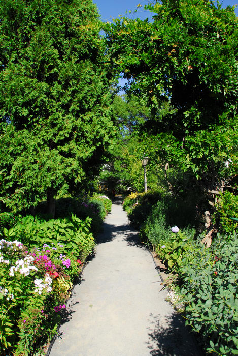flowers, garden, path, trees
