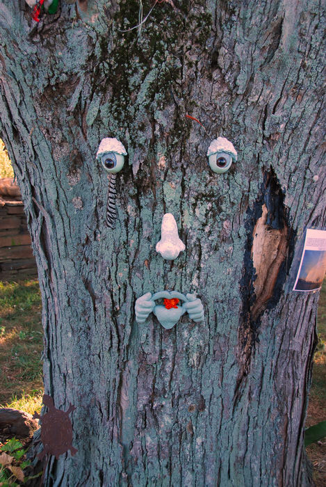 face, face in treee, tree