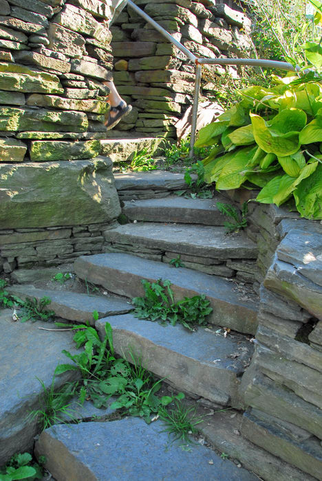 path, rock, steps